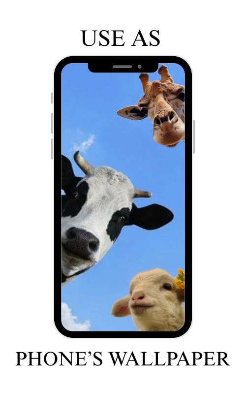 Not Love, Taylor Swift